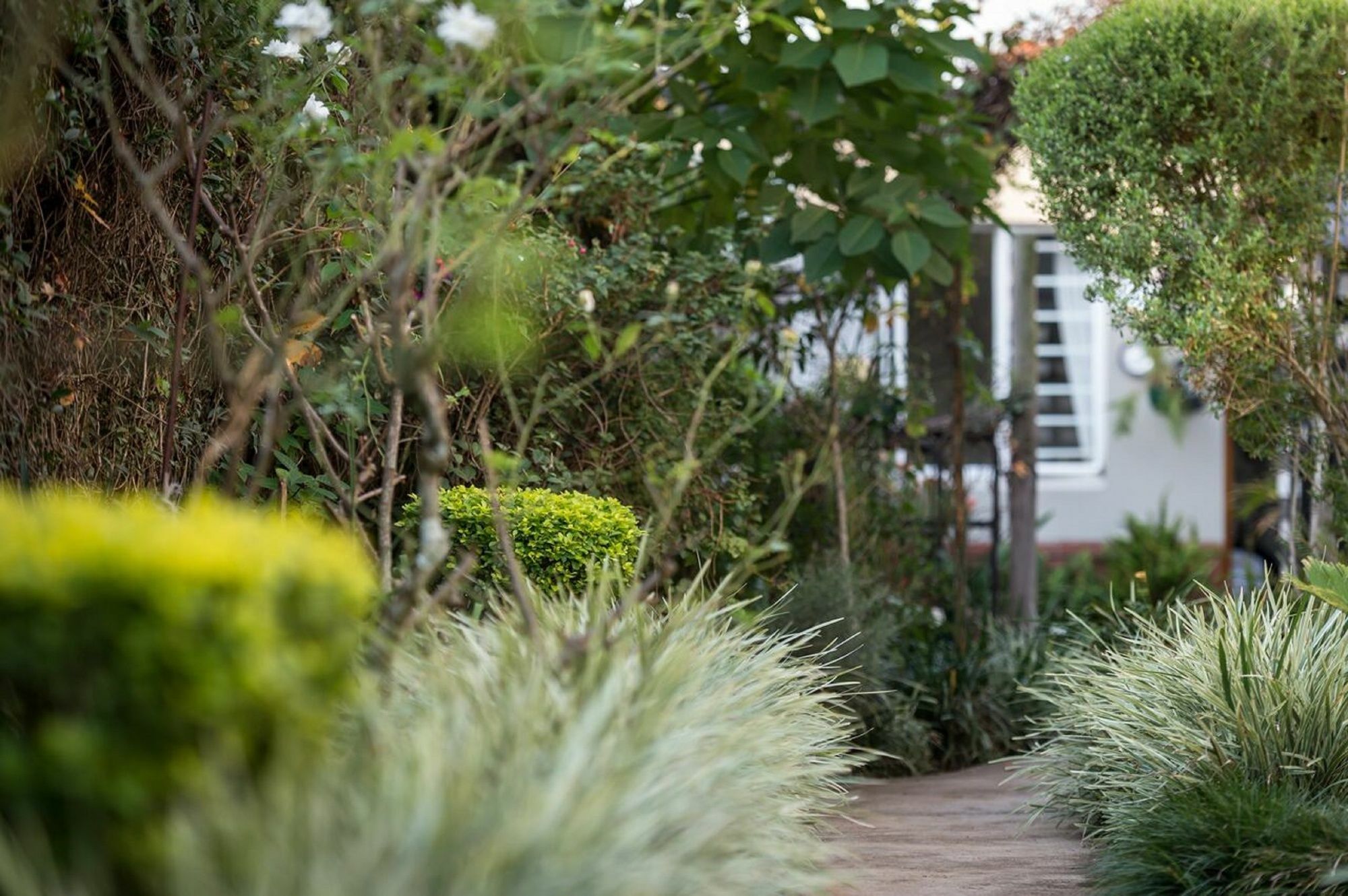 Jean-Lee Bed And Breakfast Pietermaritzburg Ngoại thất bức ảnh